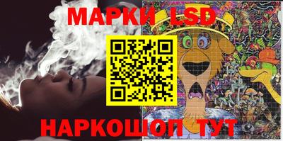 гидра Будённовск