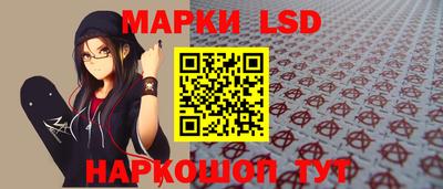 гидра Будённовск