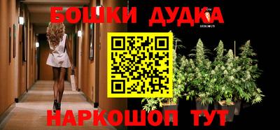 гидра Будённовск