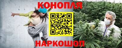 гидра Будённовск