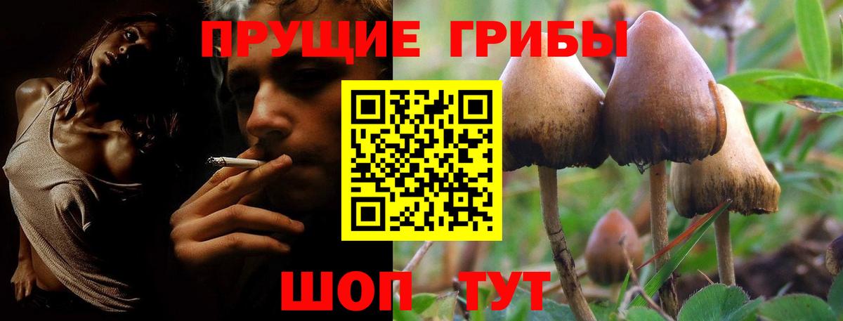 NBOMe  Мефедрон  Канабис  MDMA  МЕФ кристаллы  COCAIN  Вход с VPN  ГАШИШ  Кореновск  Где продают наркотики? 