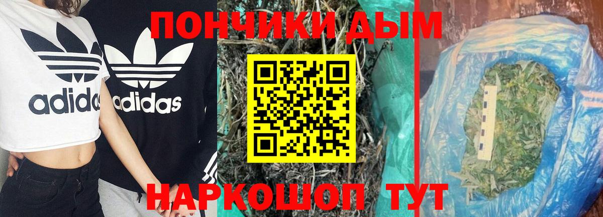 Конопля план Кореновск